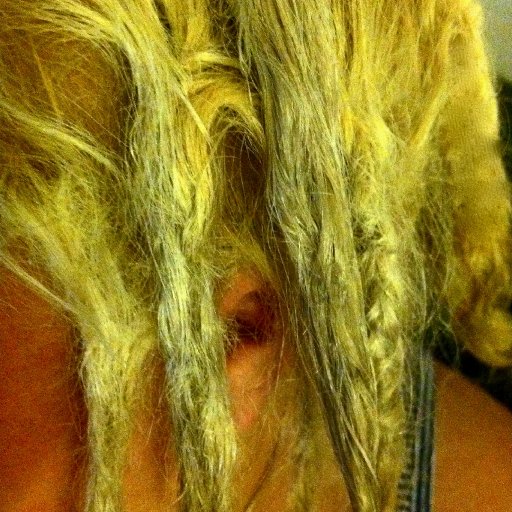 the majorly braided one