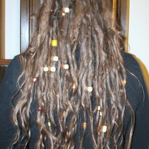 4 months Tnr dreads fuzzy picture