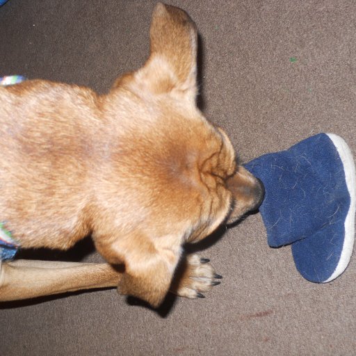 reese and the baby slipper