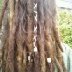 my 3 year old dreads