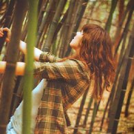 bamboo forest =)