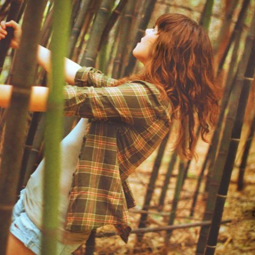 bamboo forest =)