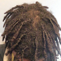 Dreads 1.png