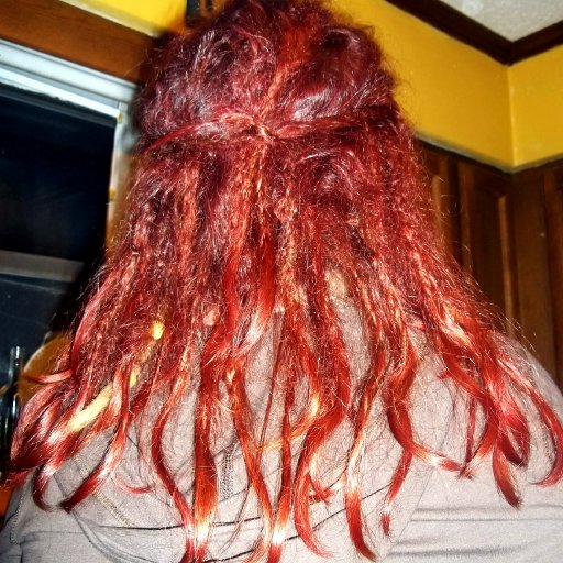 Redhead back view