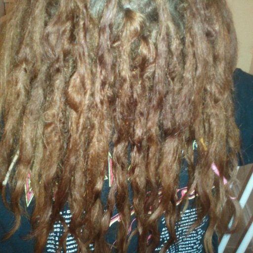 dreads 2 mos old