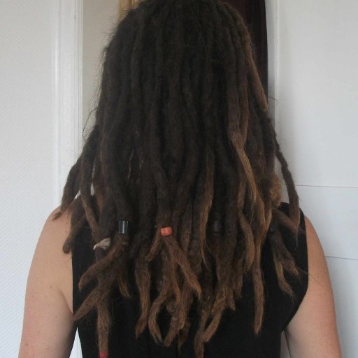 dreads from back