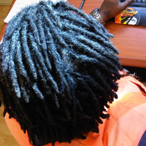 Dreads at 12 months in Iraq