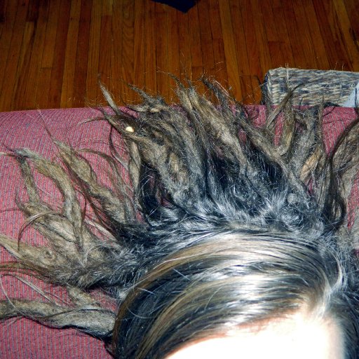roots a growin.