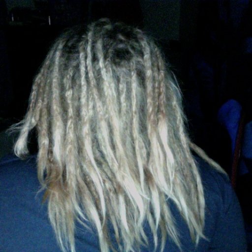 10 Day Old Dreads