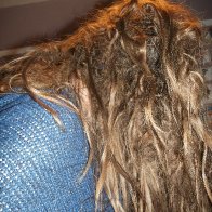 Back of Dreads