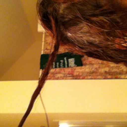 And #3 example.  My hair will dread when wet.