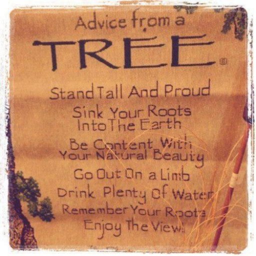 Advice from a  tree