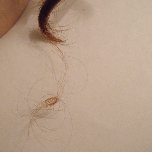 Tumbleweed Hairball