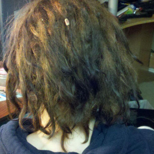Dreads from behind. 3.5 weeks old