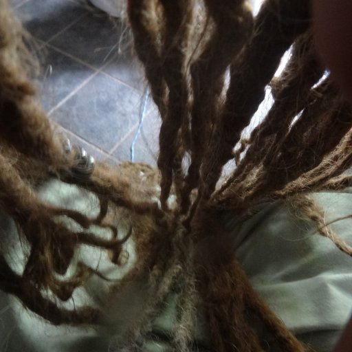 freshly washed dreads