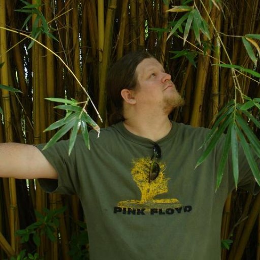 bamboo forest - craig