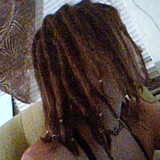 4 day old dreads