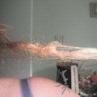 My only natural dread