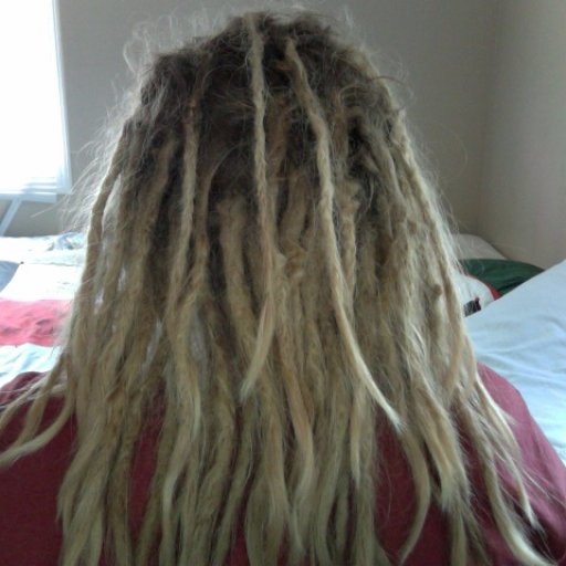 6 Month Old Dreads