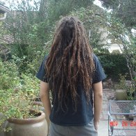 Back Combed 9 months in (2)