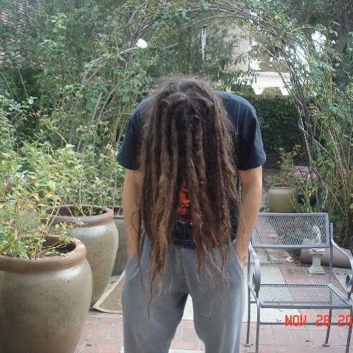 Back Combed about 9 months in