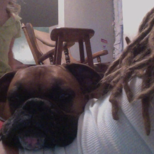 dreads and pupps