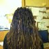 dreads day 24