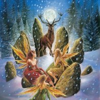 winter faeries