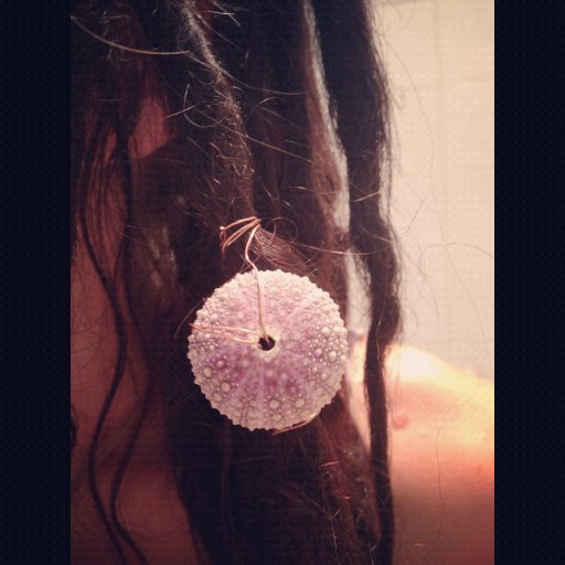 Sea urchin :)