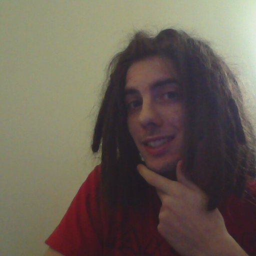 Dreads at 2 months
