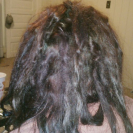 Dreads 3.5 months old (1/19/2012)