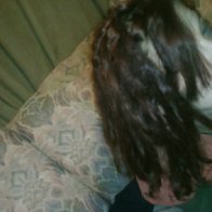 Dreads 3.5 months old (1/19/2012)