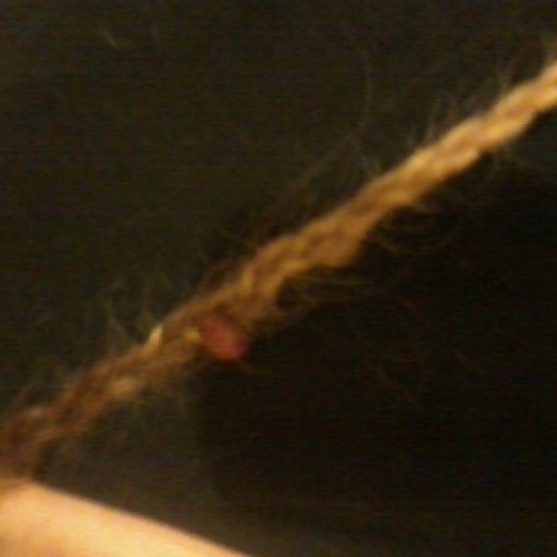 three tiny dreads i braided together