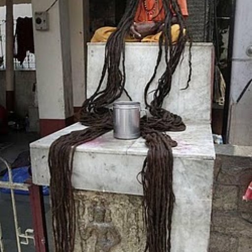 Hindu holy man long hair