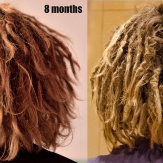 8 months vs 13 months