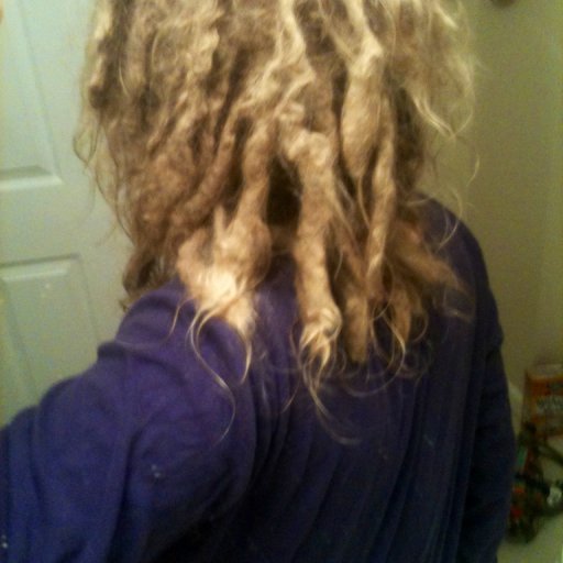 1 year natural dreads 2