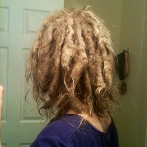 1 year natural dreads 3