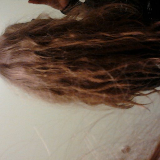Back of head, one month of neglect. :)