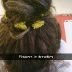 i stick dandelions in my hair