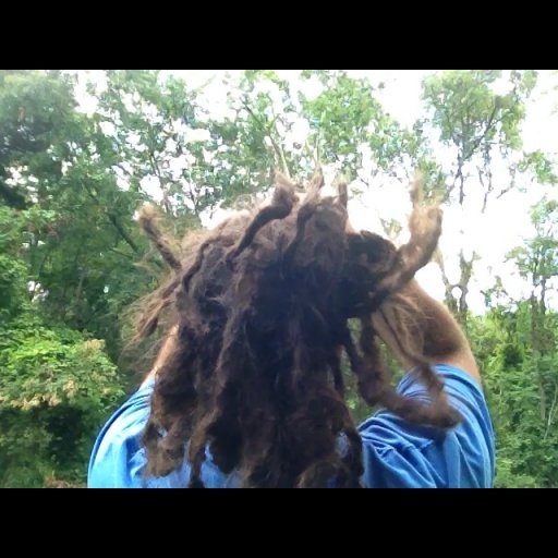 Shake your dreads