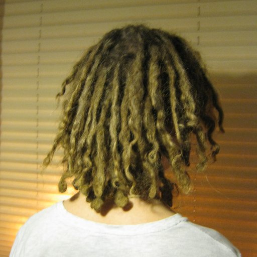 Dreads At 1 Year