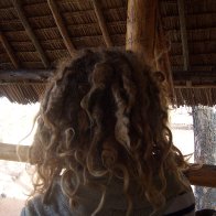 Dreads in africa about 2 Wks before I combed out