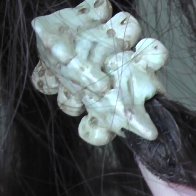 Handmade "vertebrae" bead from clay