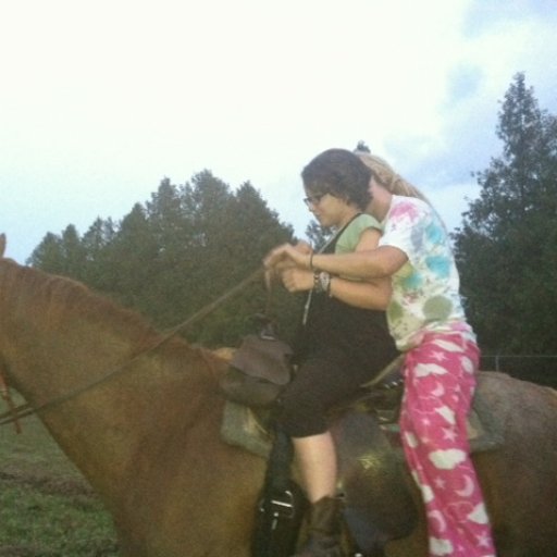 Horse ridding lessons for my nice