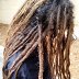 All natural dreadlocks, about a year and a half