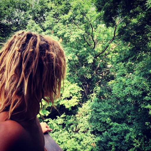 Woke up in the trees.
