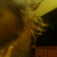 Uriah's dreads, closer from above