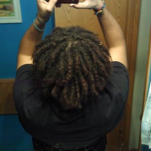 1month old dreads back of head