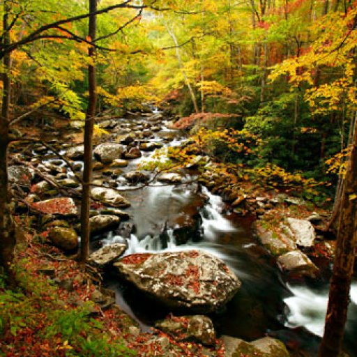 Appalachian-Trail-Hike