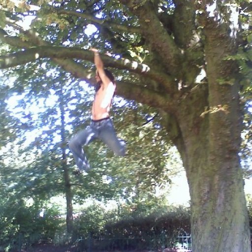 Climbing a Tree at Queens Park